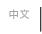 中文